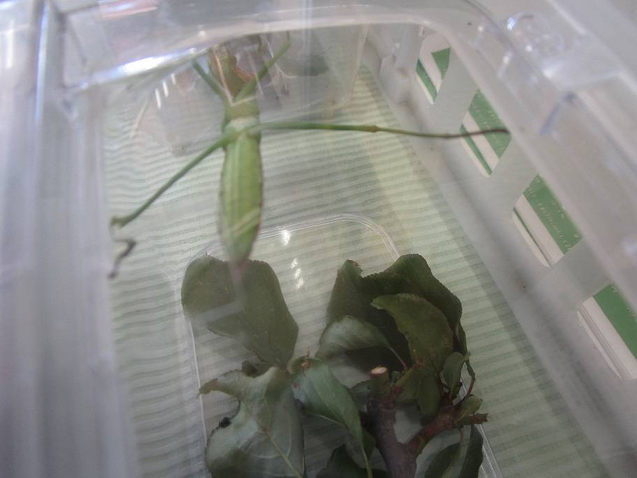 生き物展示 (2).jpg