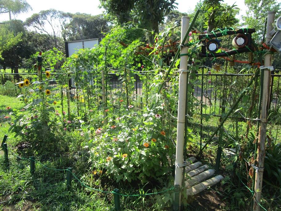 お花のトンネル (1).jpg