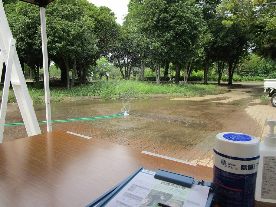 野球場無料開放 (6).jpg