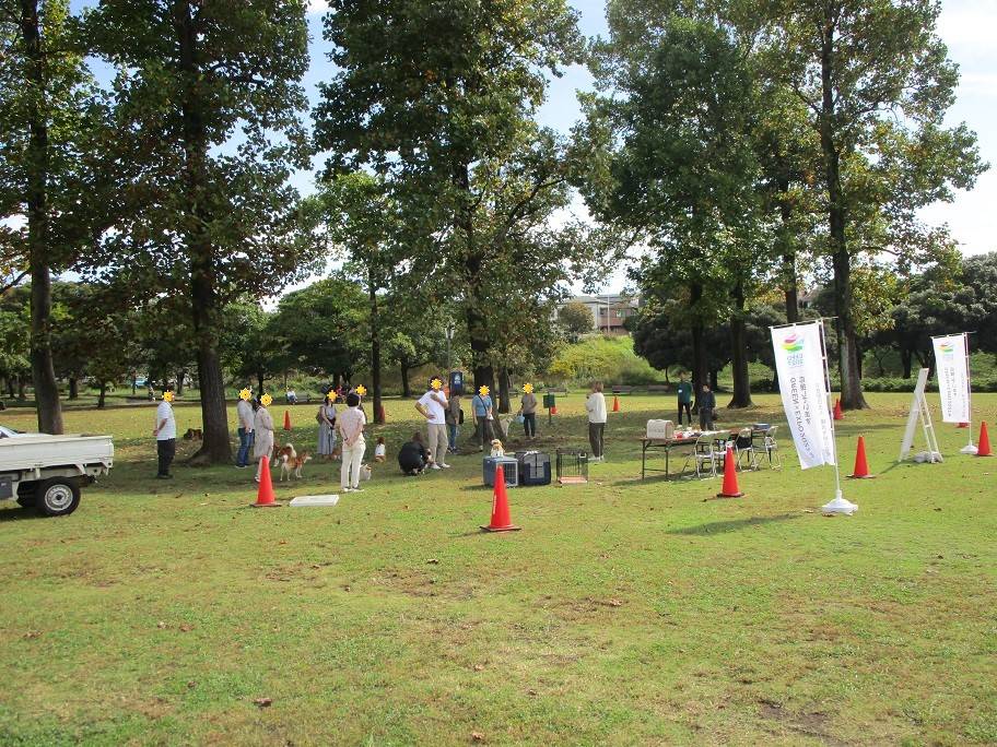 愛犬マナの写真 (3).jpg