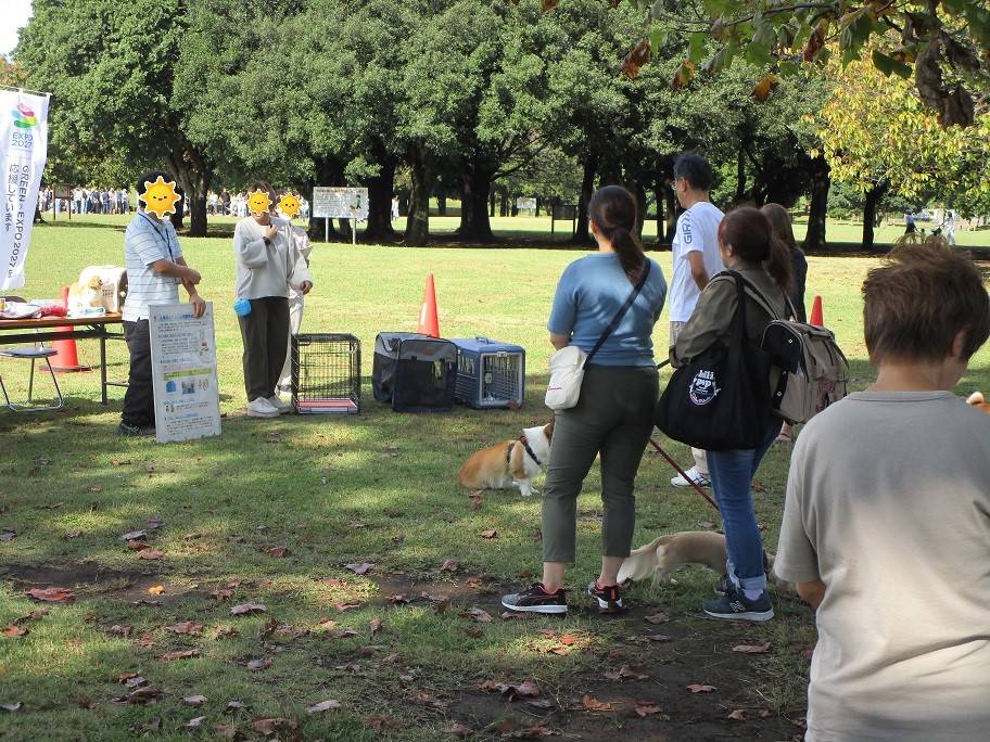 愛犬マナの写真 (1).jpg