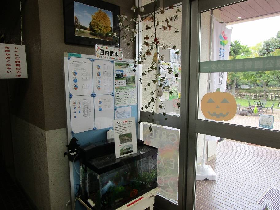 ハロウィン (7).jpg