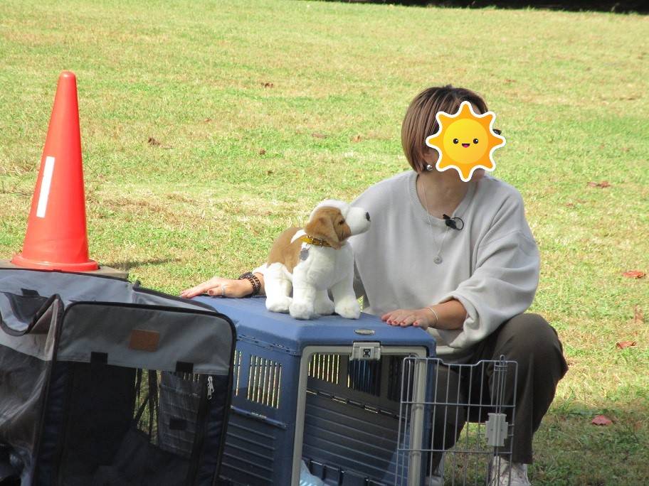 愛犬マナの写真 (4).jpg