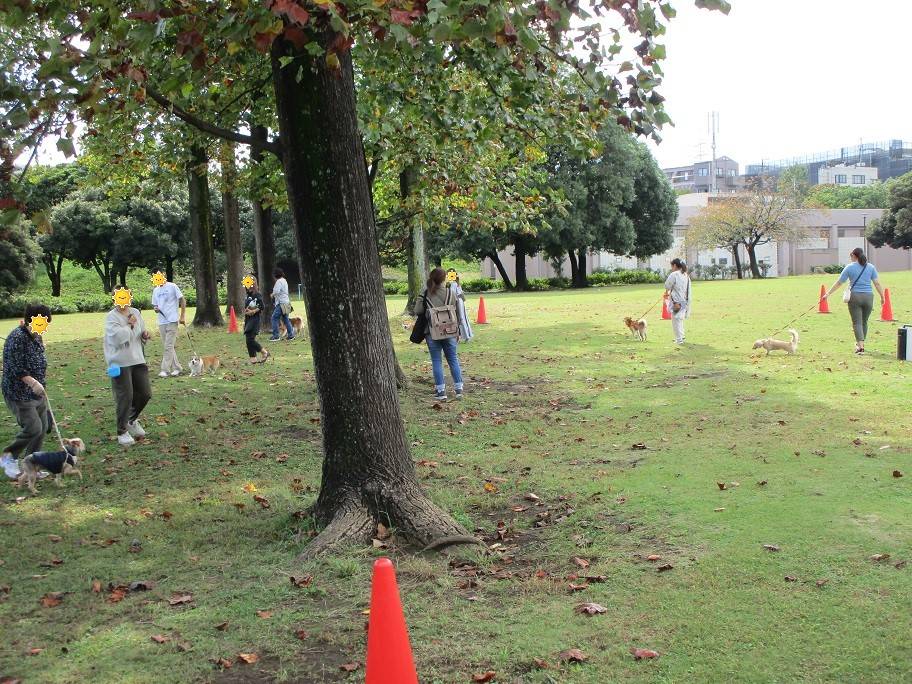 愛犬マナの写真 (2).jpg