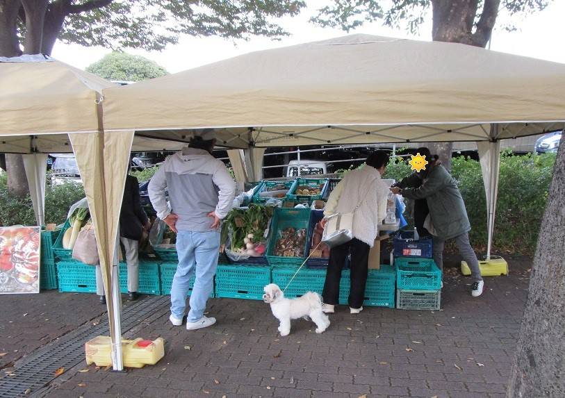 マルシェ (2).jpg