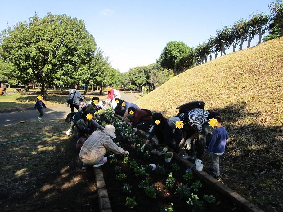 秋の花植えの写真 (4).jpg