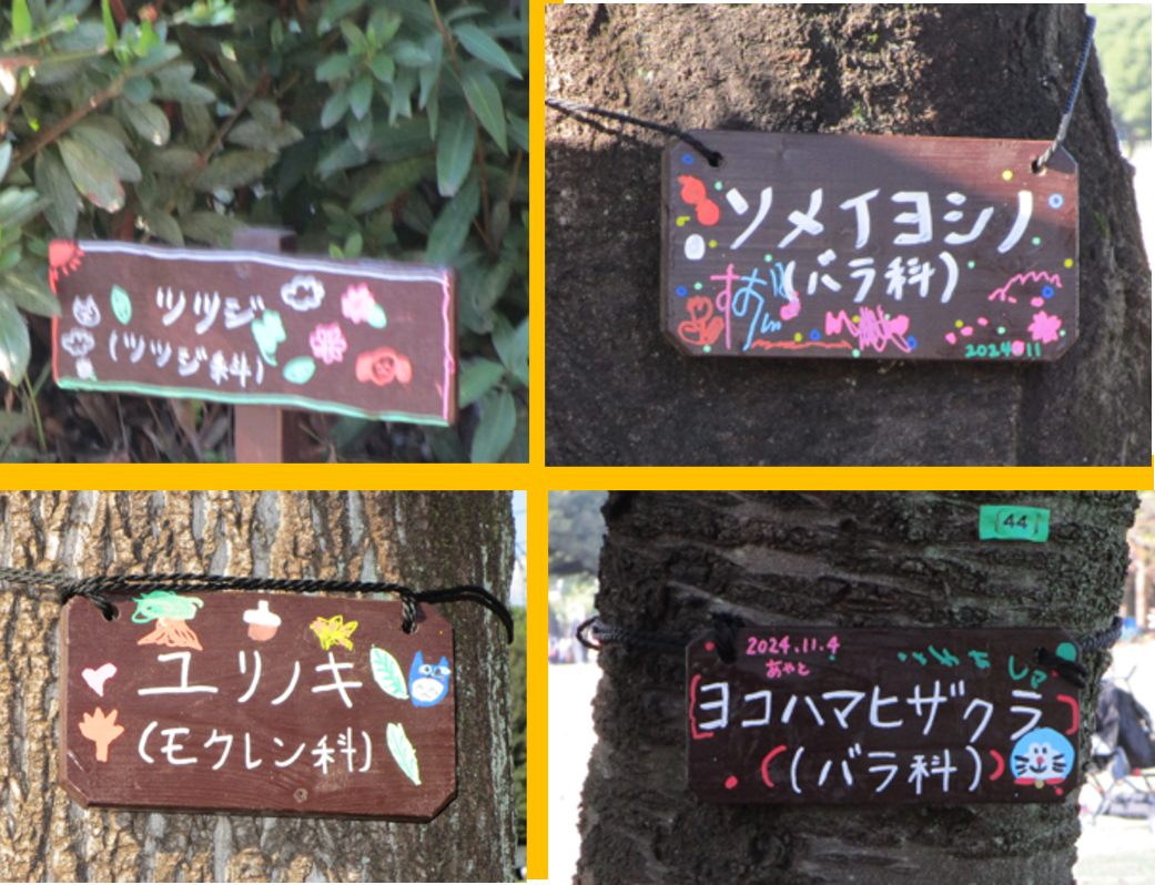 4つの樹名板.png