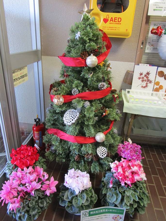 クリスマスの写真 (2).jpg