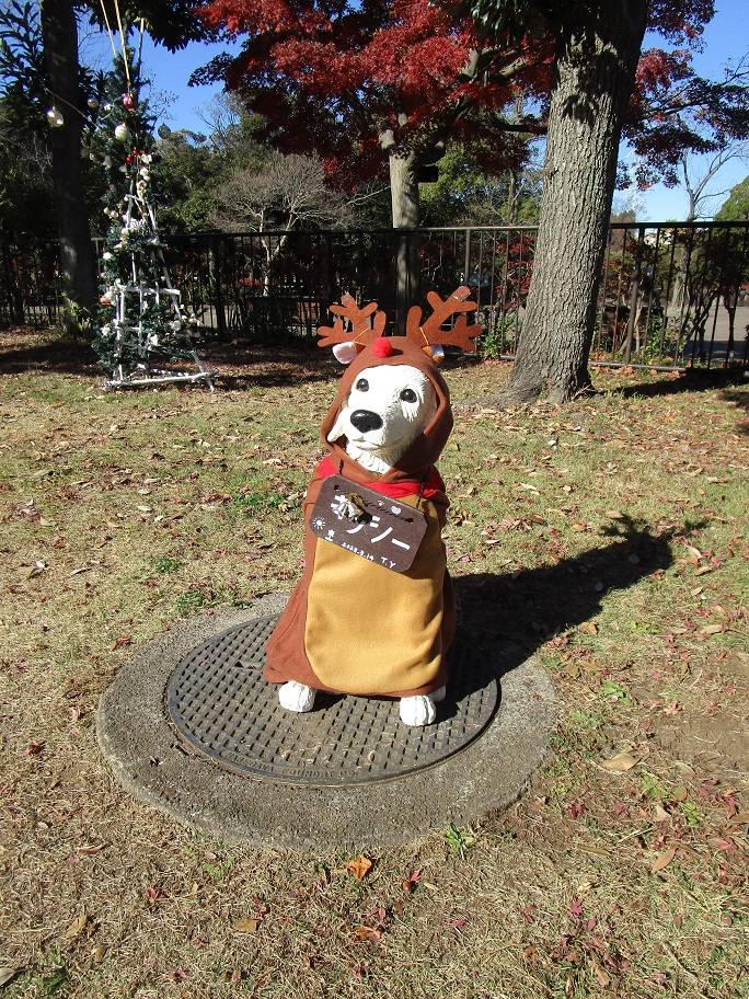 クリスマスの写真 (1).jpg