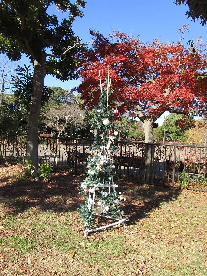 クリスマスの写真 (3).jpg