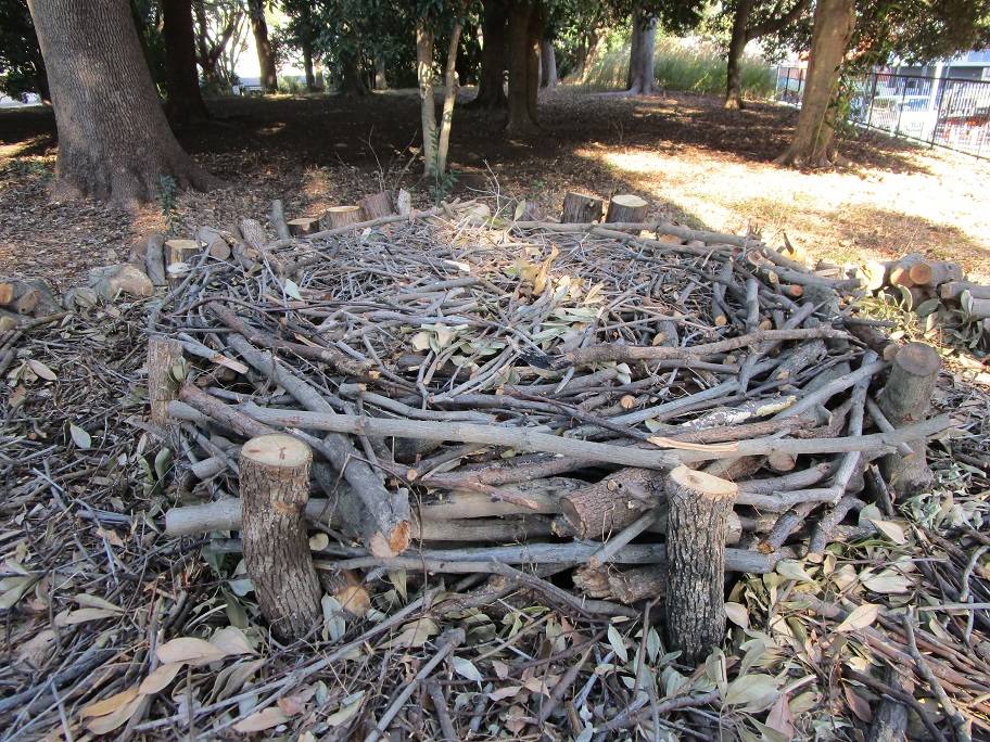 バイオネスト (1).jpg