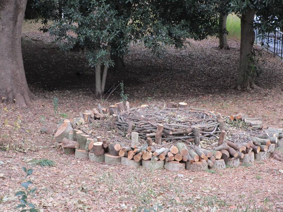 バイオネスト (2).jpg