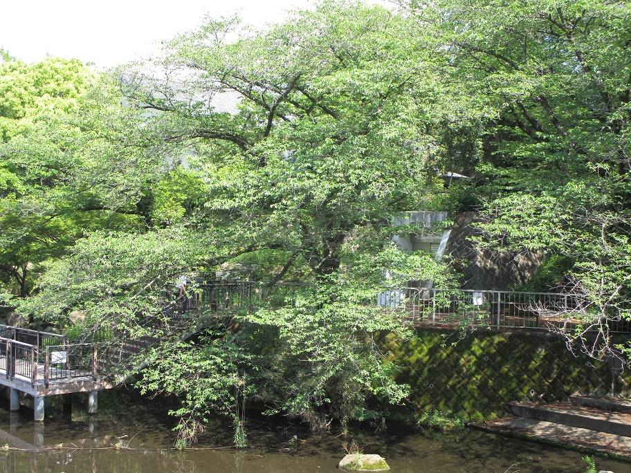 ゴールデンウイークの写真 (1).jpg