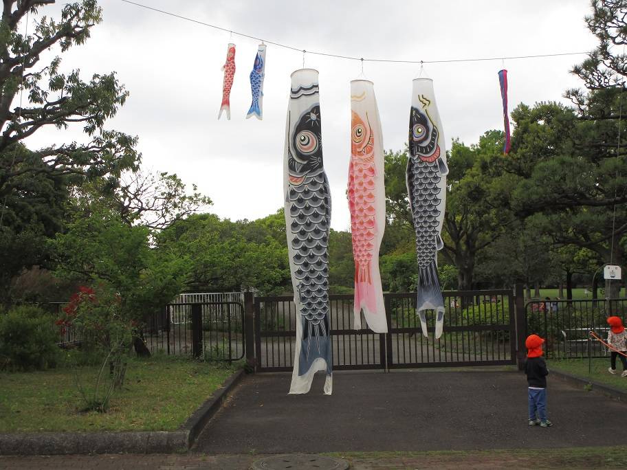 鯉のぼり (1).jpg