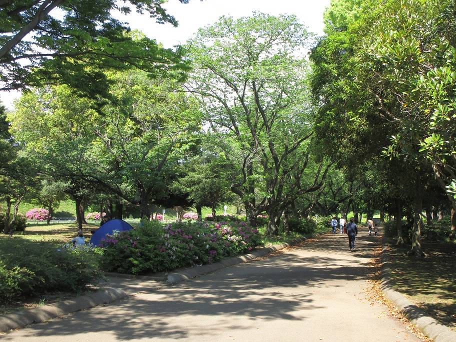 ゴールデンウイークの写真 (4).jpg