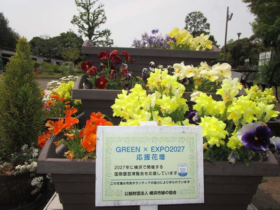 港北オープンガーデン (4).jpg