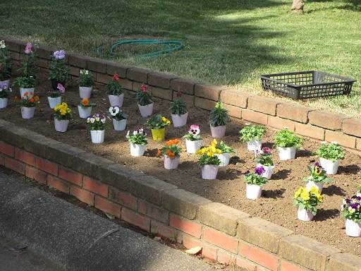 秋の花植え (1).jpg