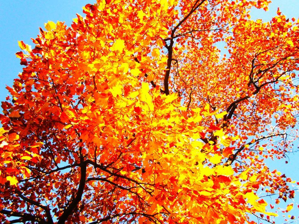 自然界隈 (5).jpg