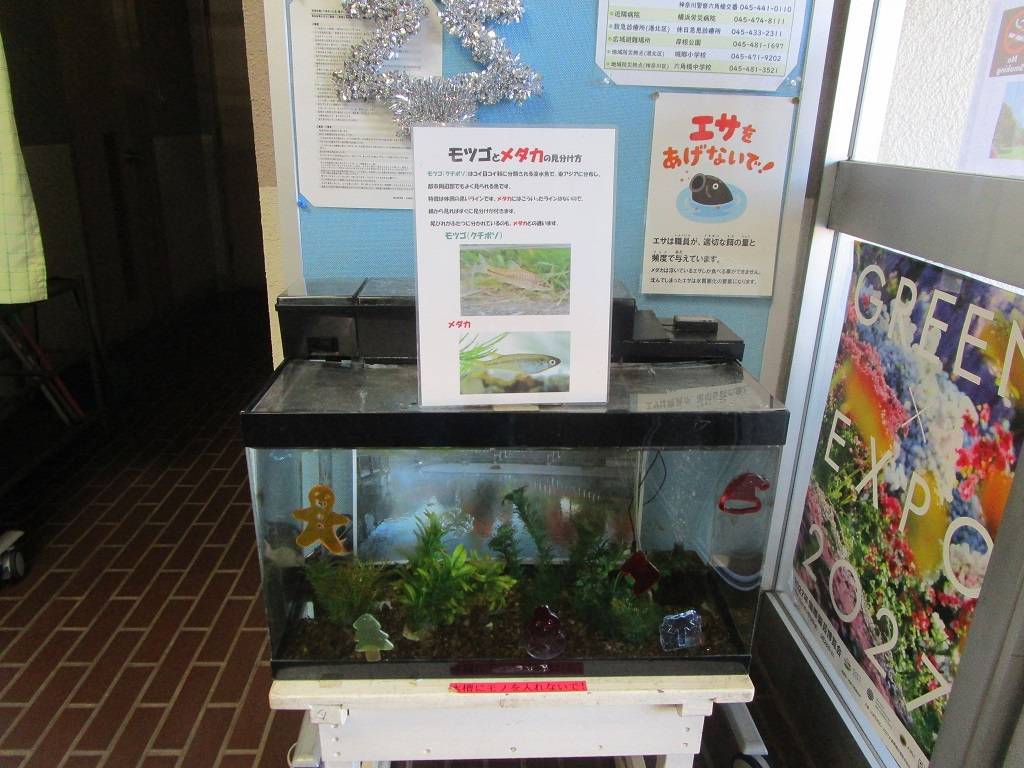 クリスマスの写真 (5).jpg