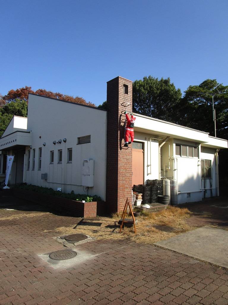 クリスマスの飾り (3).jpg