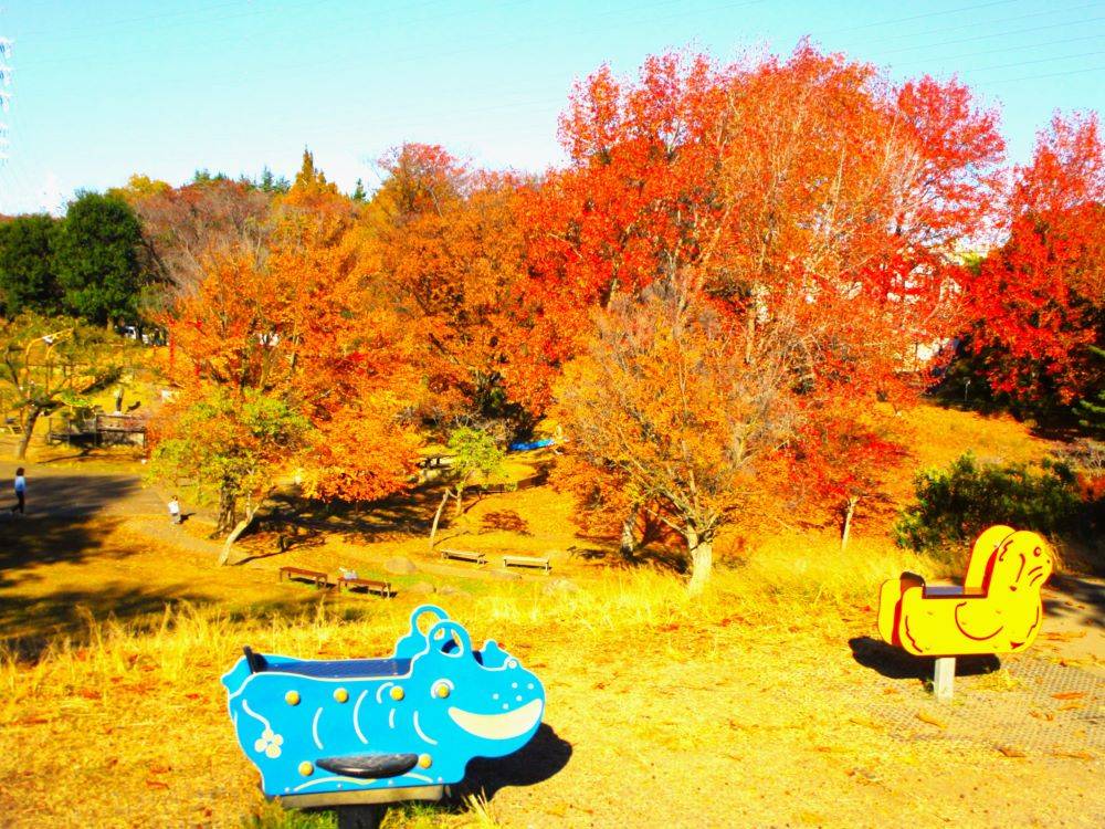 自然界隈 (6).jpg