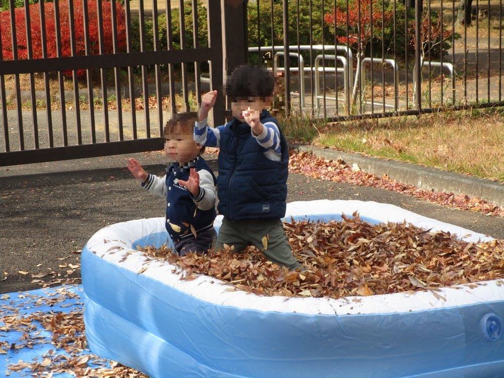 落ち葉プール (2).jpg