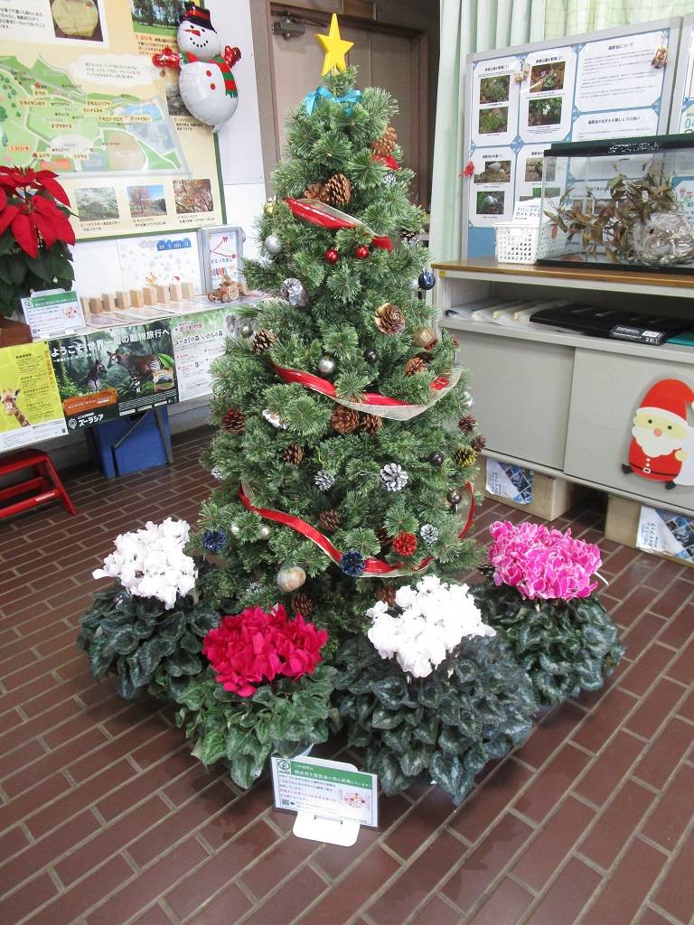 花の写真 (5).jpg