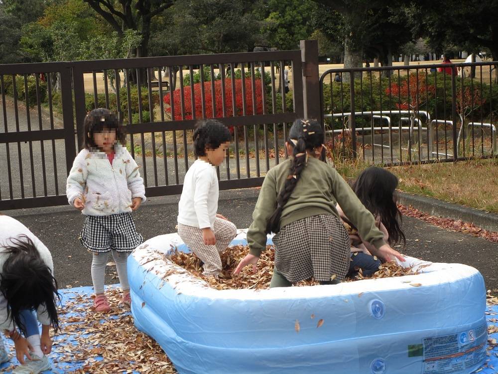 落ち葉プール (5).jpg