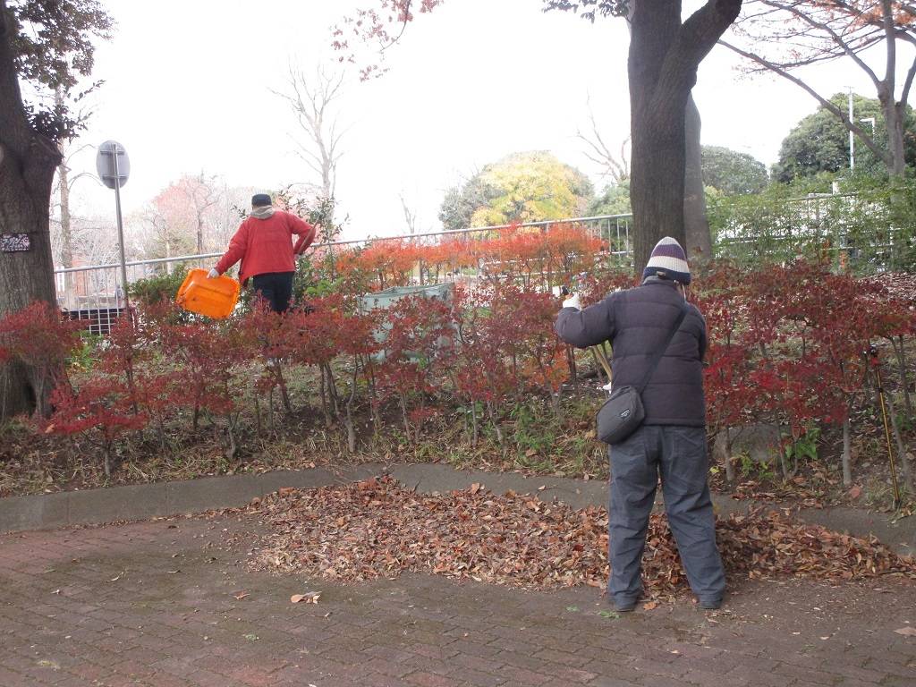 清掃の写真 (1).jpg