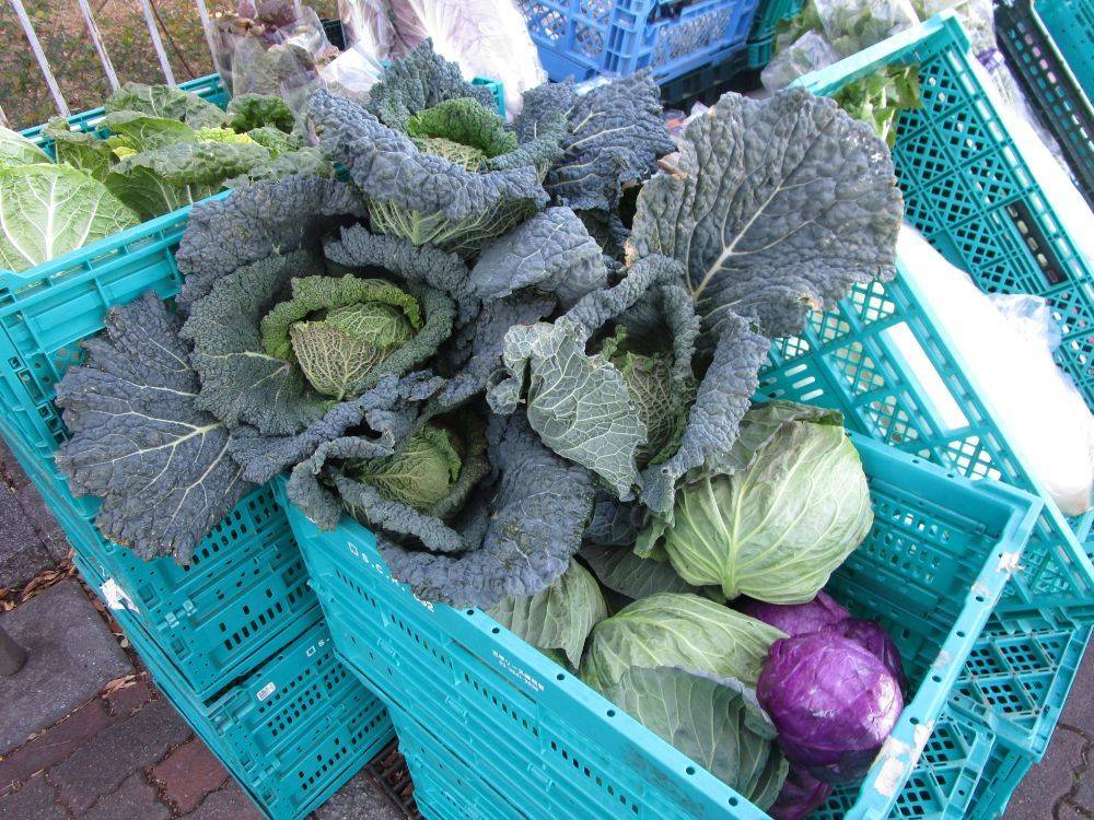 マルシェ 八百屋 (1).jpg