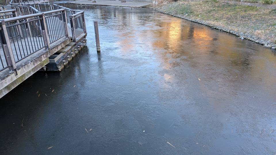 篠原池の写真 (2).jpg