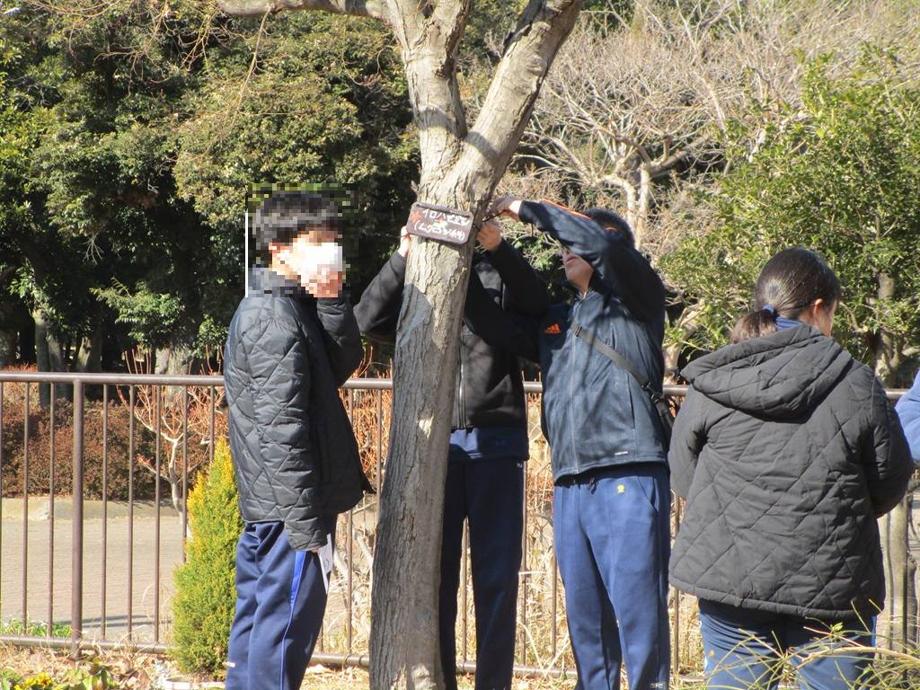 樹名板つくり (4).jpg