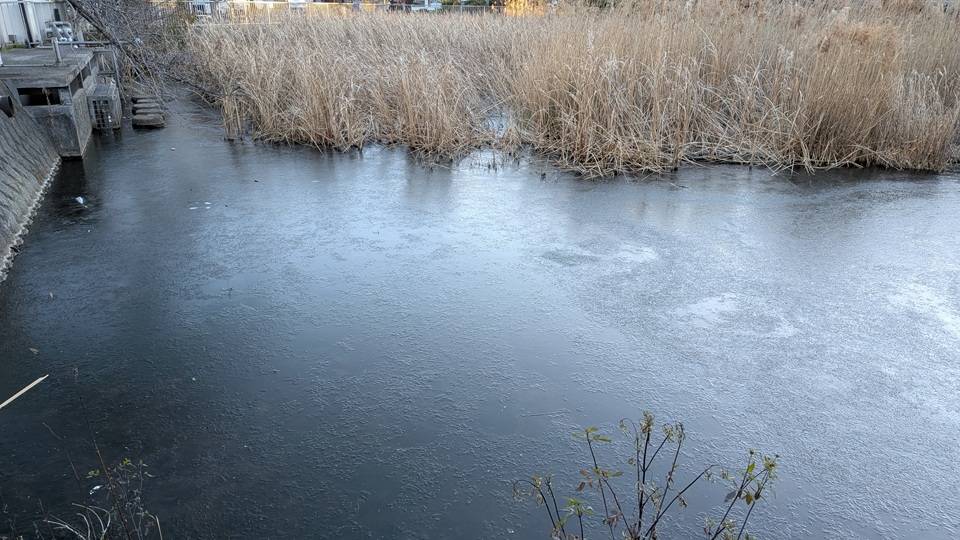 篠原池の写真 (1).jpg