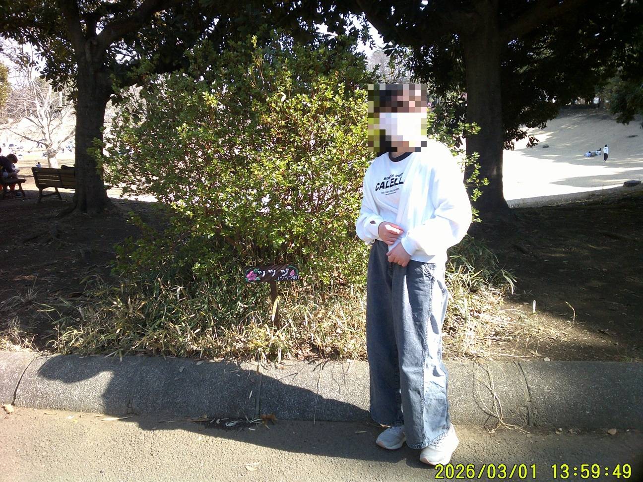 樹名板を作ろう (4).jpg