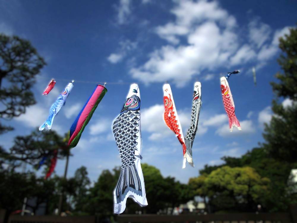 こいのぼり寄贈品 (3).jpg