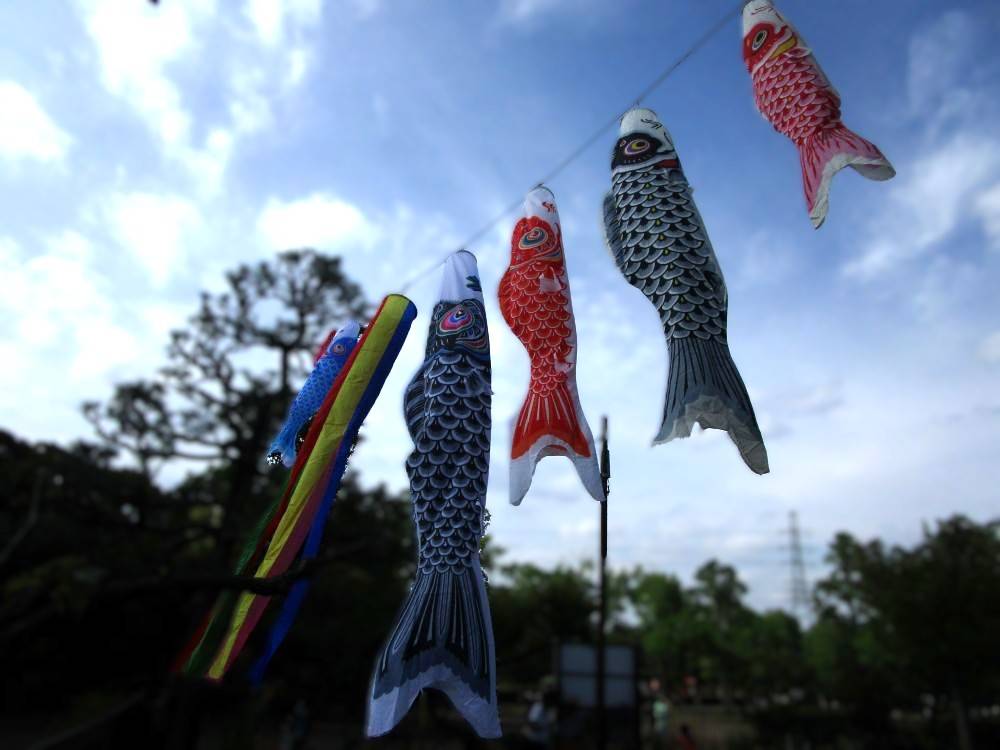 こいのぼり寄贈品 (2).jpg