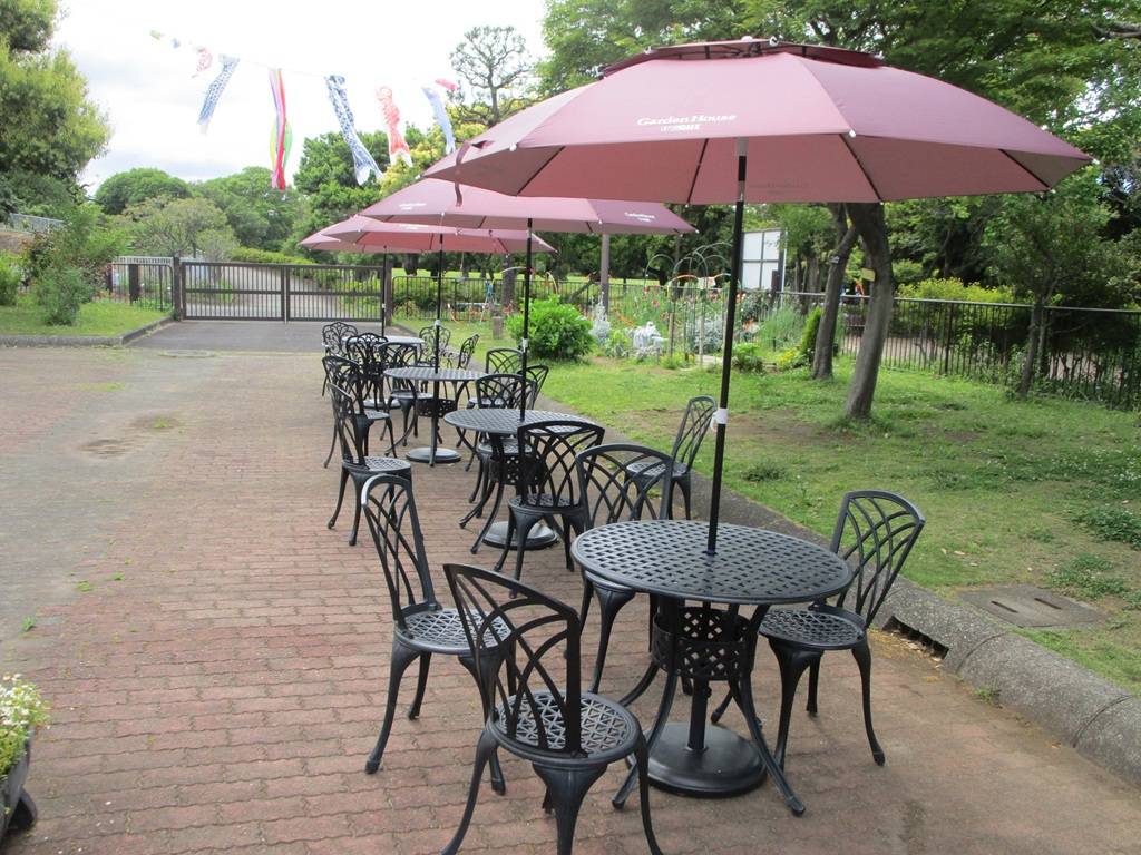日傘の写真 (4).jpg