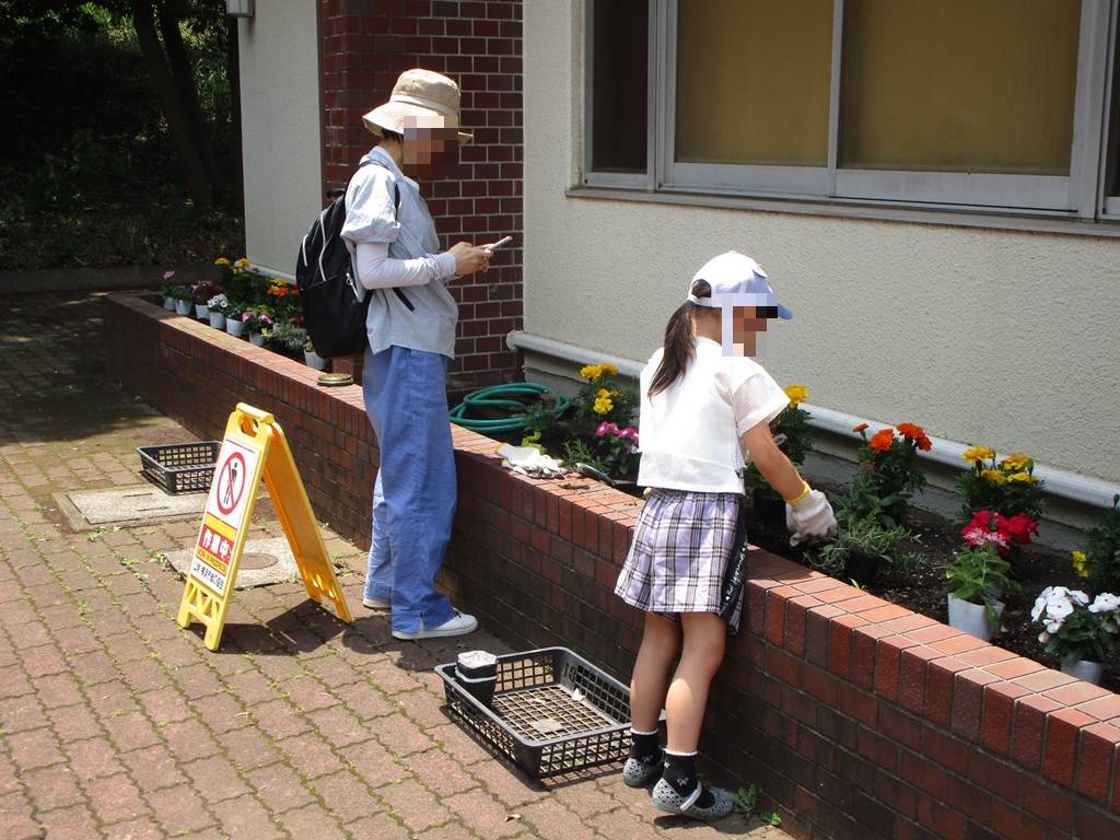 夏の花植え (5).jpg