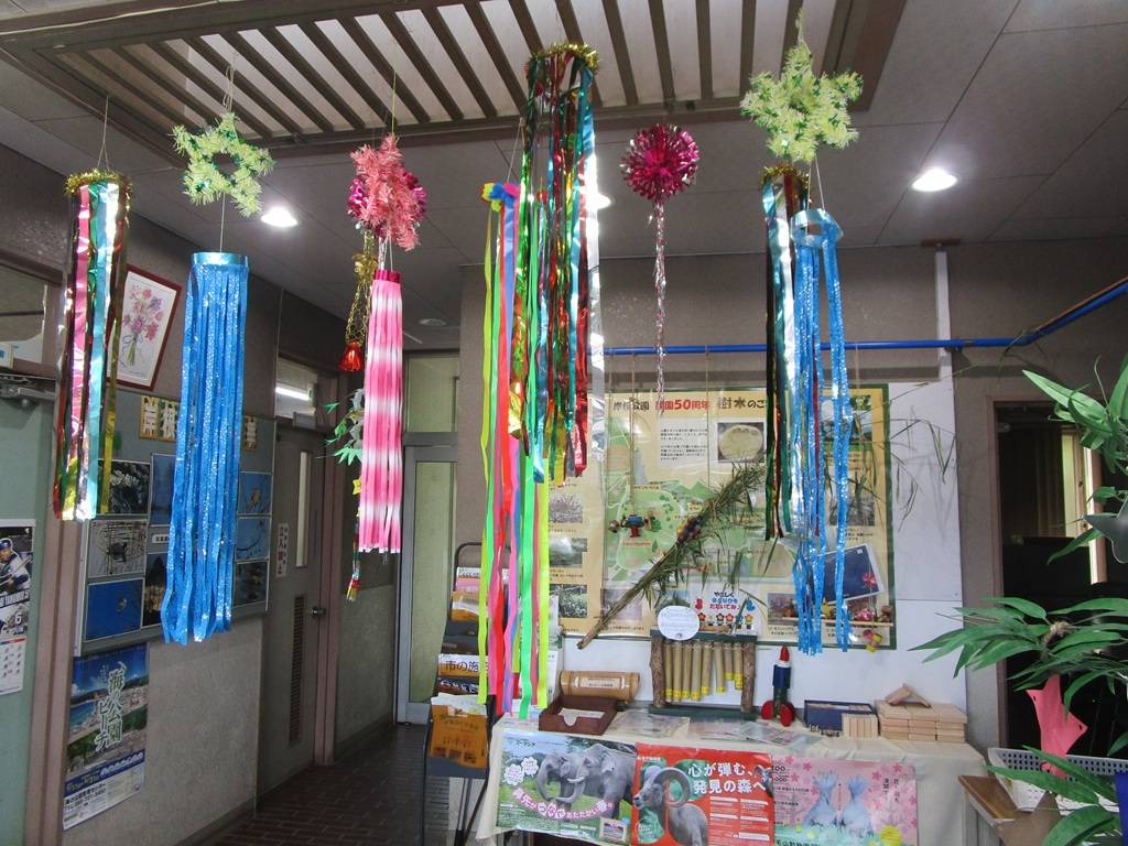 七夕 (2).jpg