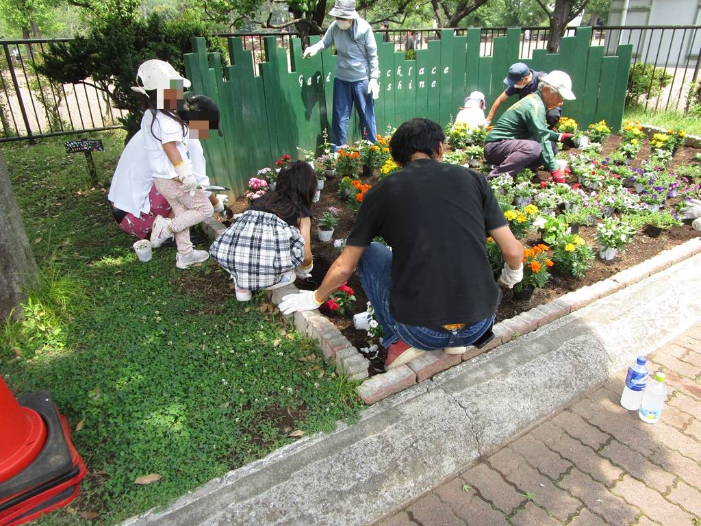 夏の花植え (3).jpg