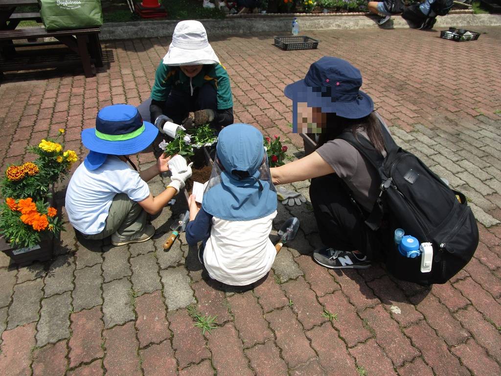 夏の花植え (2).jpg