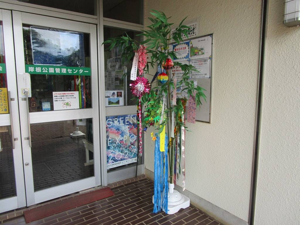 七夕 (1).jpg