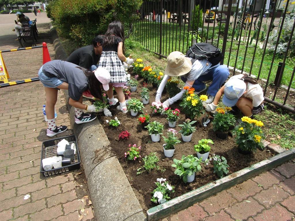 夏の花植え (4).jpg