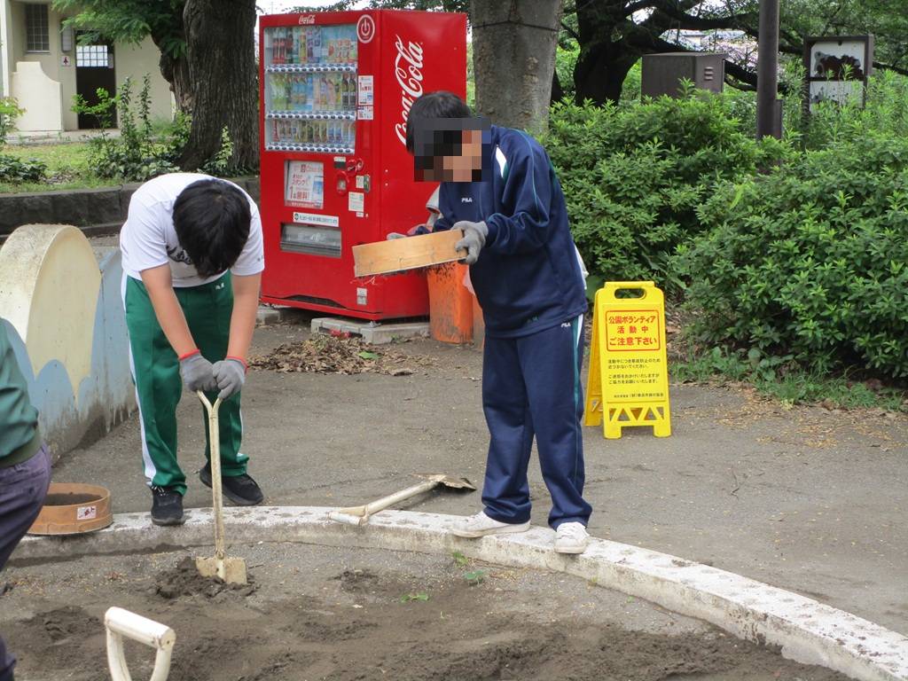 落ち葉清掃 (3).jpg