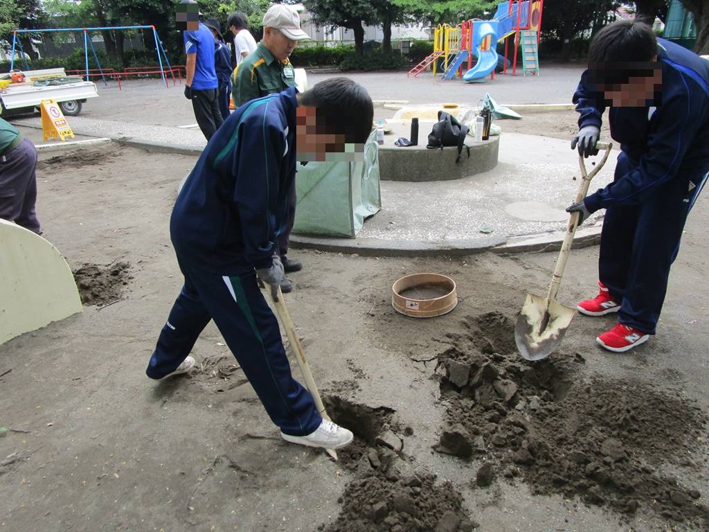 落ち葉清掃 (4).jpg
