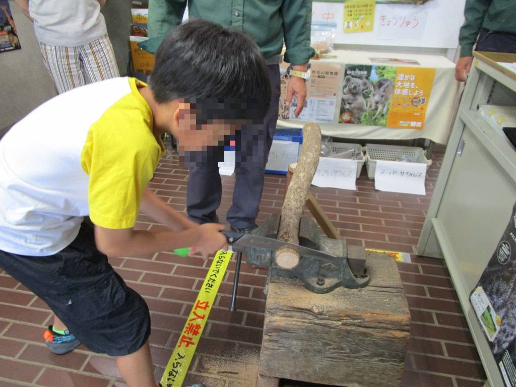 工作教室の写真 (6).jpg