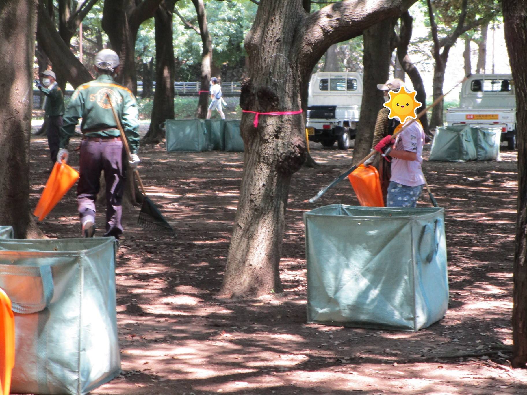 パーククリーン (2).jpg