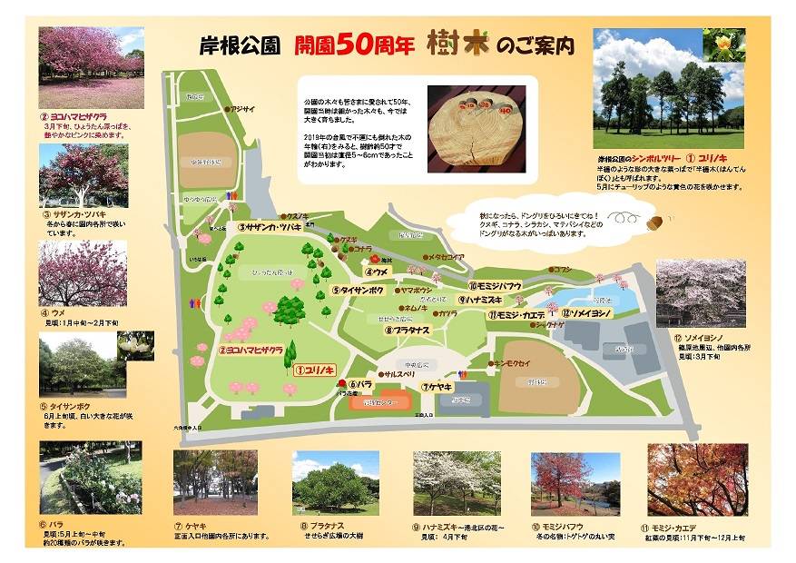 樹木マップ (2).jpg