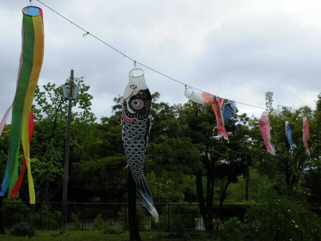 CIMG2646.jpg