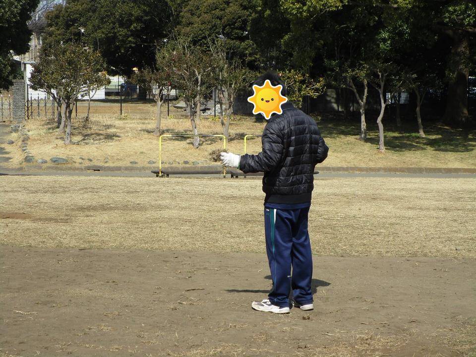 芝生の種まき (3).jpg